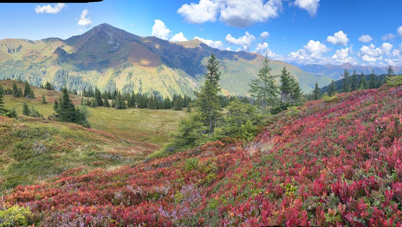 Alpengasthof Grobbauer Rottenmann Esterno foto
