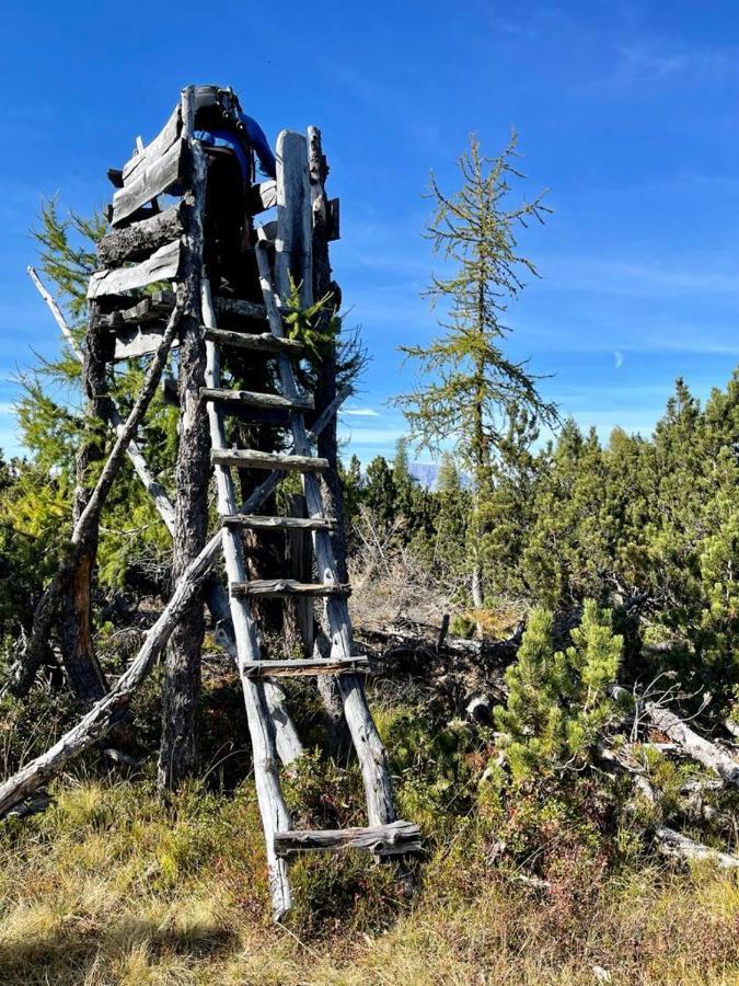 Alpengasthof Grobbauer Rottenmann Esterno foto