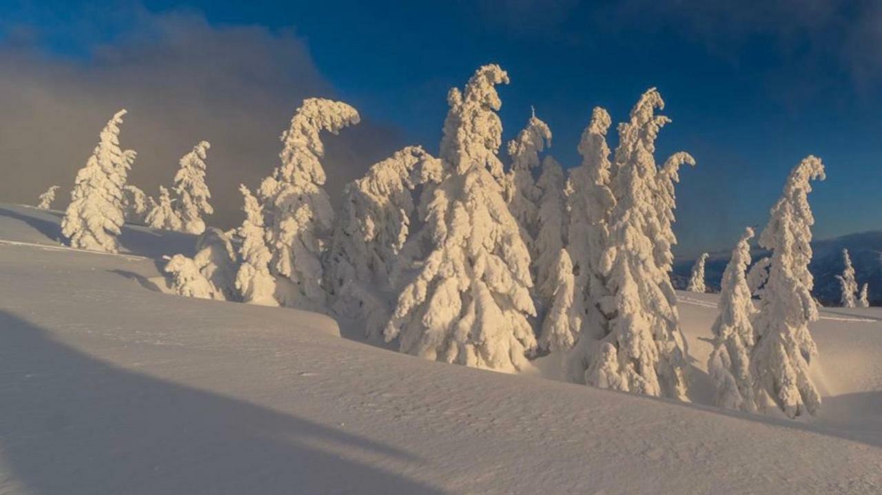 Alpengasthof Grobbauer Rottenmann Esterno foto